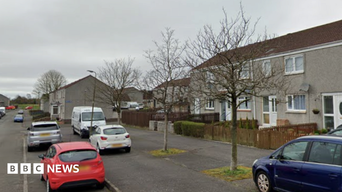 A row of grey terrarced houses, with patches of grass outside them. Cars are parked in front of some of them, with another row of homes in the background