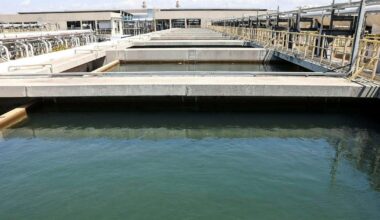 Israel's Algae Crisis: Is 'War Dust' From Gaza Fueling the Crisis?