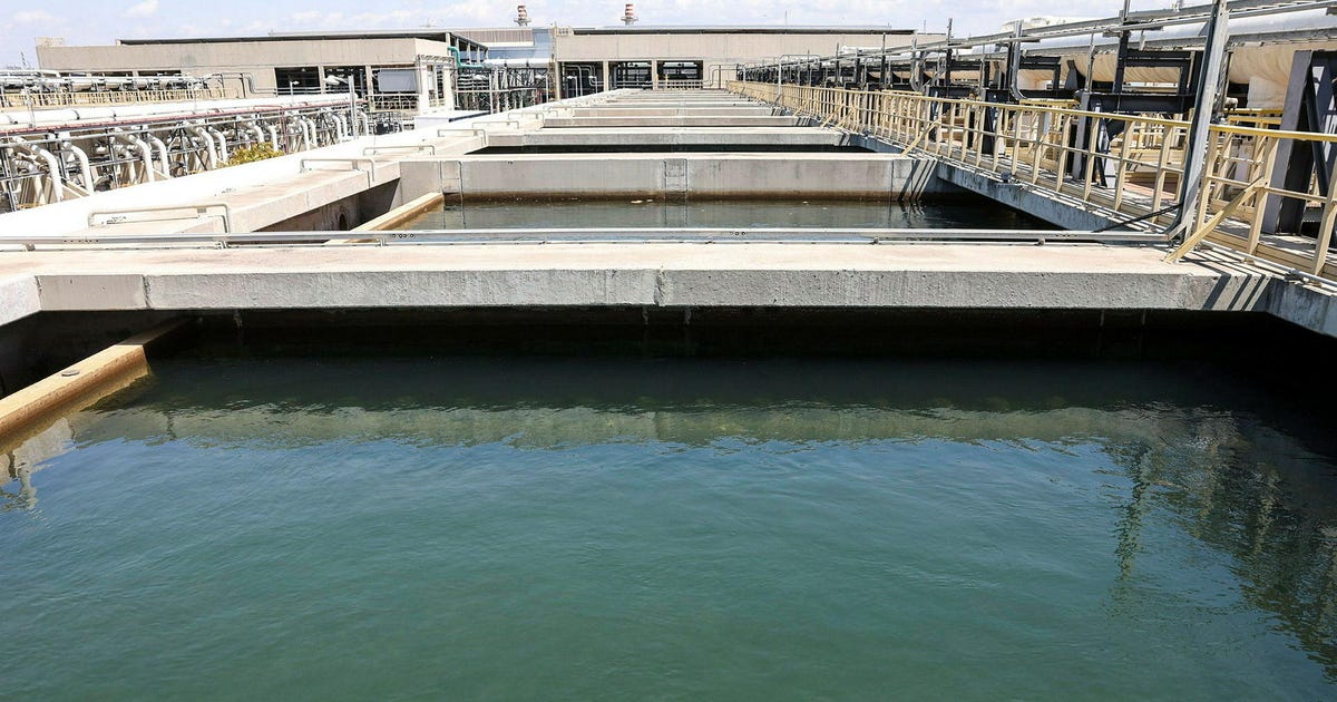 Israel's Algae Crisis: Is 'War Dust' From Gaza Fueling the Crisis?