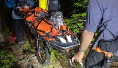 Great Dane stretchered off mountain near Revelstoke, B.C., in unusual rescue