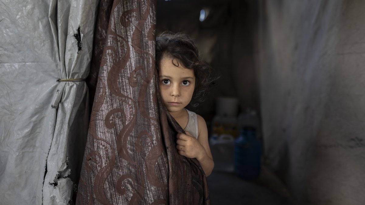 Israel's Gaza genocide death toll passes 74,000 as killings continue