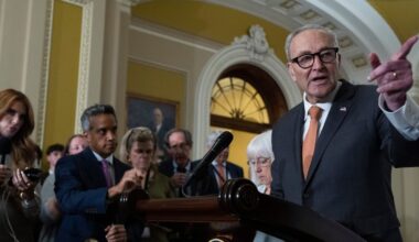 Schumer to introduce U.S. bill targeting Trump’s latest tariffs on Canada - CTV News