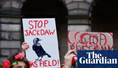 Jackdaw gasfield set to be approved by ministers this month, sources say | Environment policy