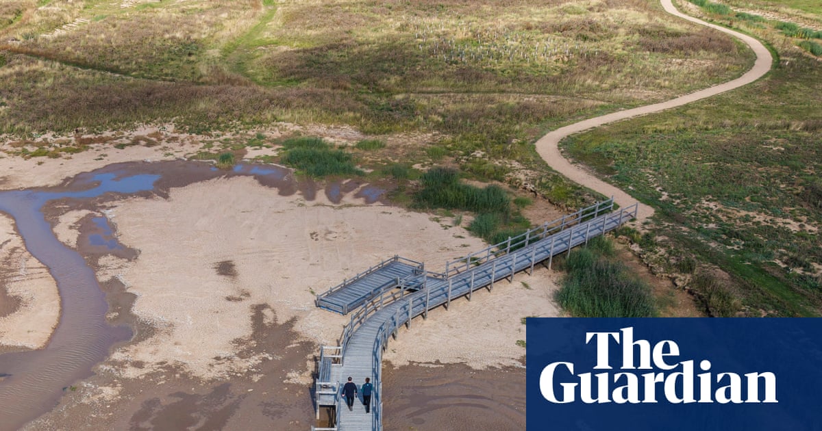 Skylarks and sandwich terns among new birdies on reserve created from ‘boring old golf course’ | Rewilding