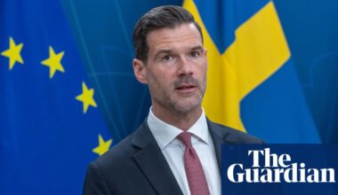 Swedish minister defends strict post-Brexit removals of Britons | Sweden