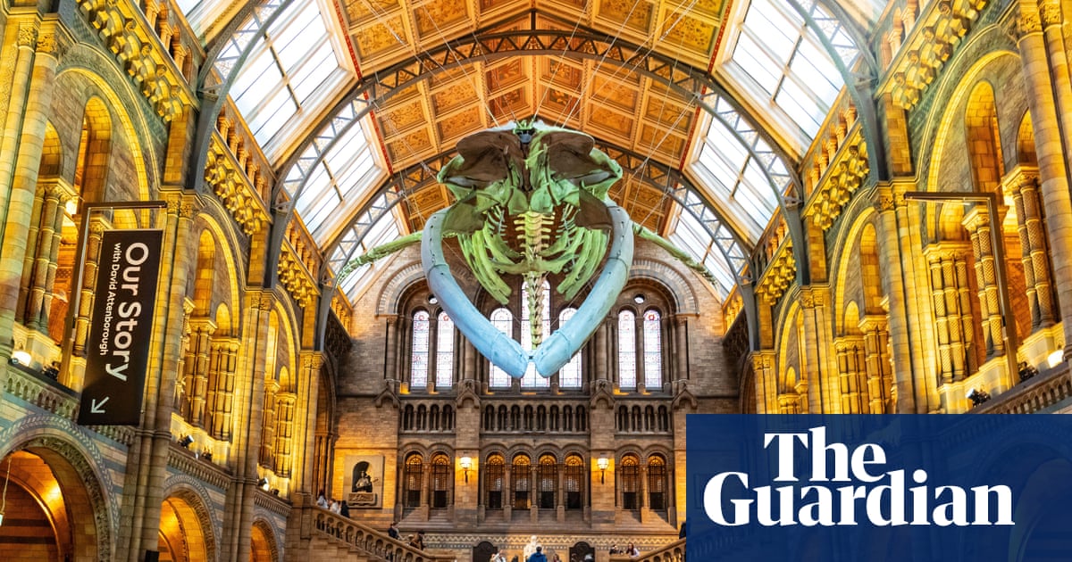 England’s national museums to remain free to overseas visitors | Museums