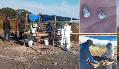 1,600 baby teeth found at suspected mass grave site in Mexico