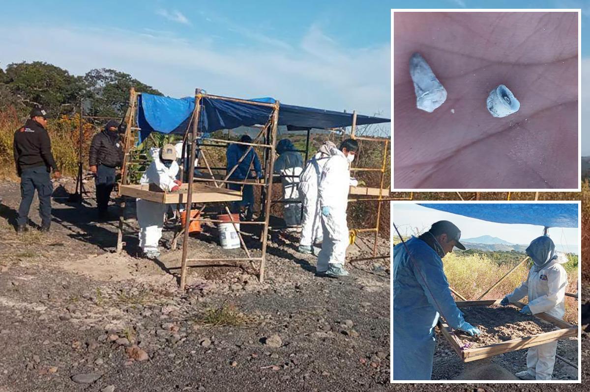 1,600 baby teeth found at suspected mass grave site in Mexico
