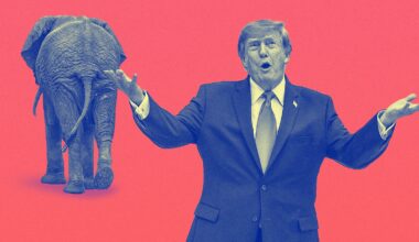 Midterms 2026: Donald Trump's unpopularity is causing Republicans to break with the president.
