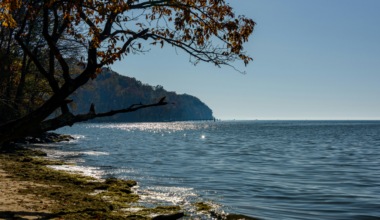 Trump Administration repeals Chesapeake Bay Protection and Restoration Executive Order | Latest News