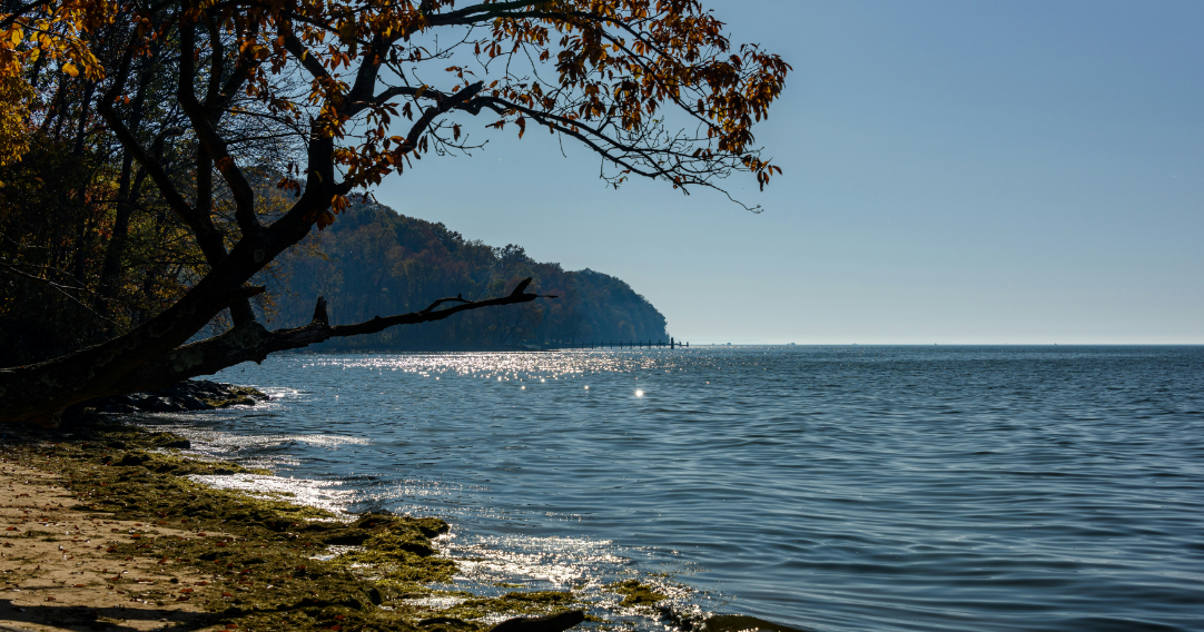 Trump Administration repeals Chesapeake Bay Protection and Restoration Executive Order | Latest News