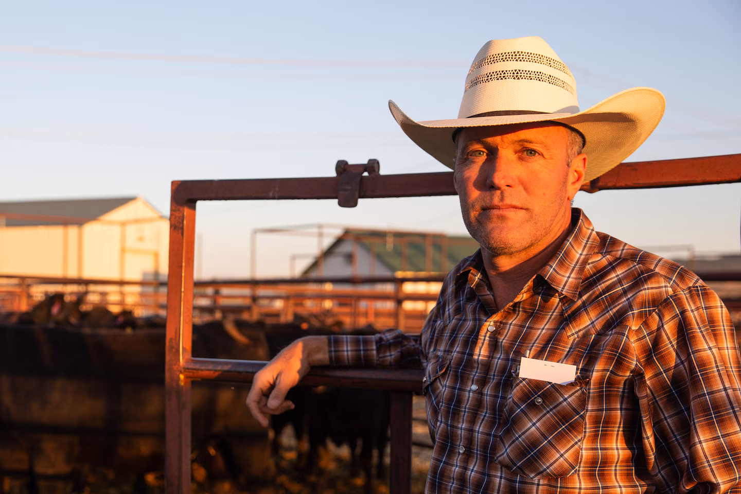 Ranchers’ loyalty to Trump wavers as some bristle over beef imports