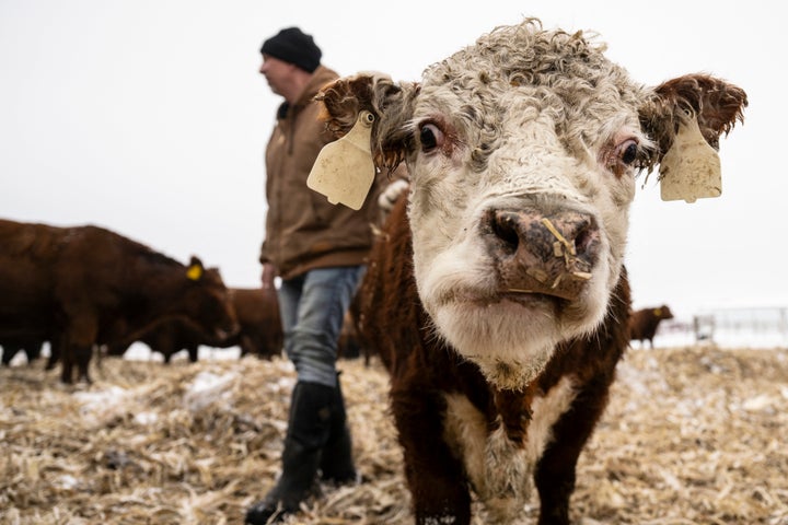 Almost all meat produced in the U.S. is processed off the farm, so asking farmers to slaughter their beef would introduce a whole new step.