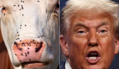Trump Wants Farmers To Process Their Own Beef, But Is That Even Safe?