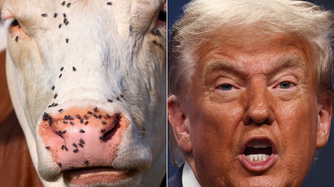 Trump Wants Farmers To Process Their Own Beef, But Is That Even Safe?