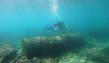 Photos of divers exploring Tyre’s ancient ruins after the Israel-Hezbollah ceasefire | World