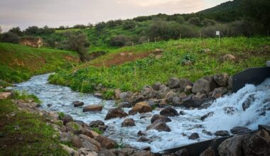 The Jerusalem Post - Israel News