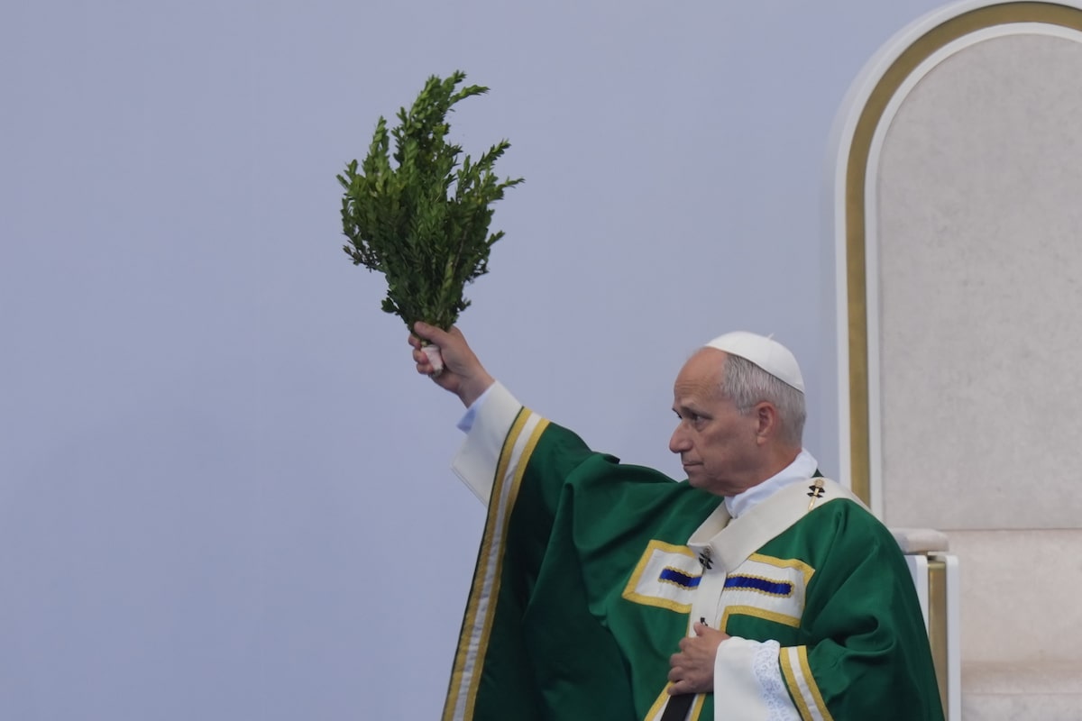 Assisted dying is ‘false compassion’, Pope says at French shrine of Lourdes