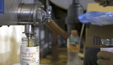 The Jerusalem Post - Israel News