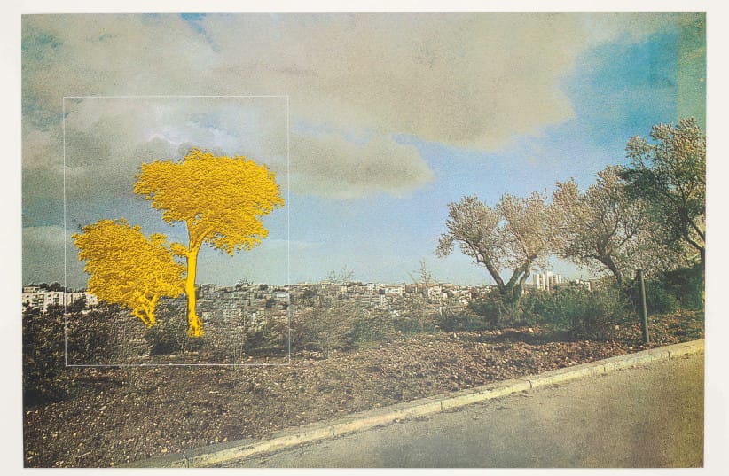KADISHMAN HAD a thing about yellow.
