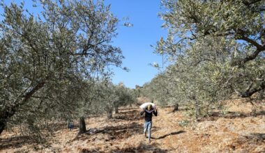 The Jerusalem Post - Israel News