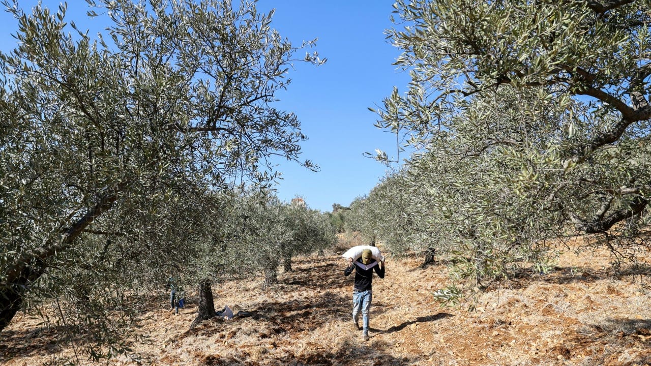 The Jerusalem Post - Israel News
