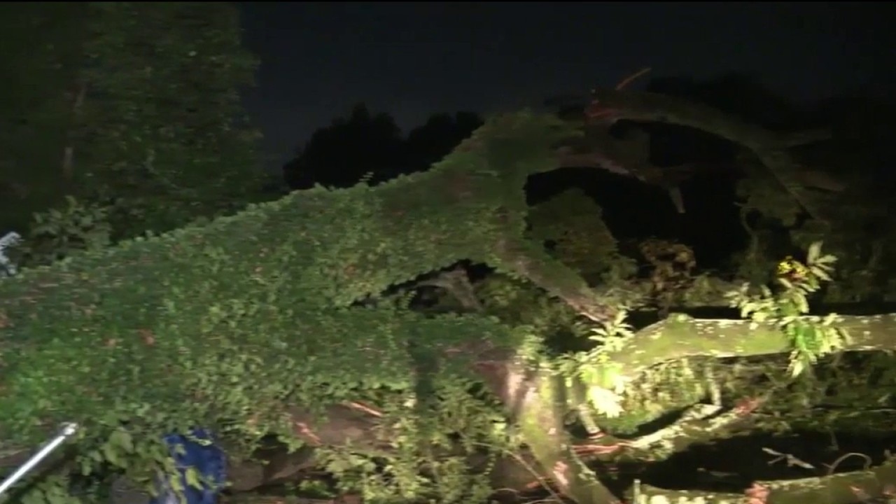 Downed tree knocks out power in southwest Atlanta