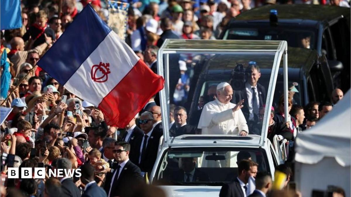 The Pope waves to crowds from the popemobile in Lourdes, as a French flag is waved