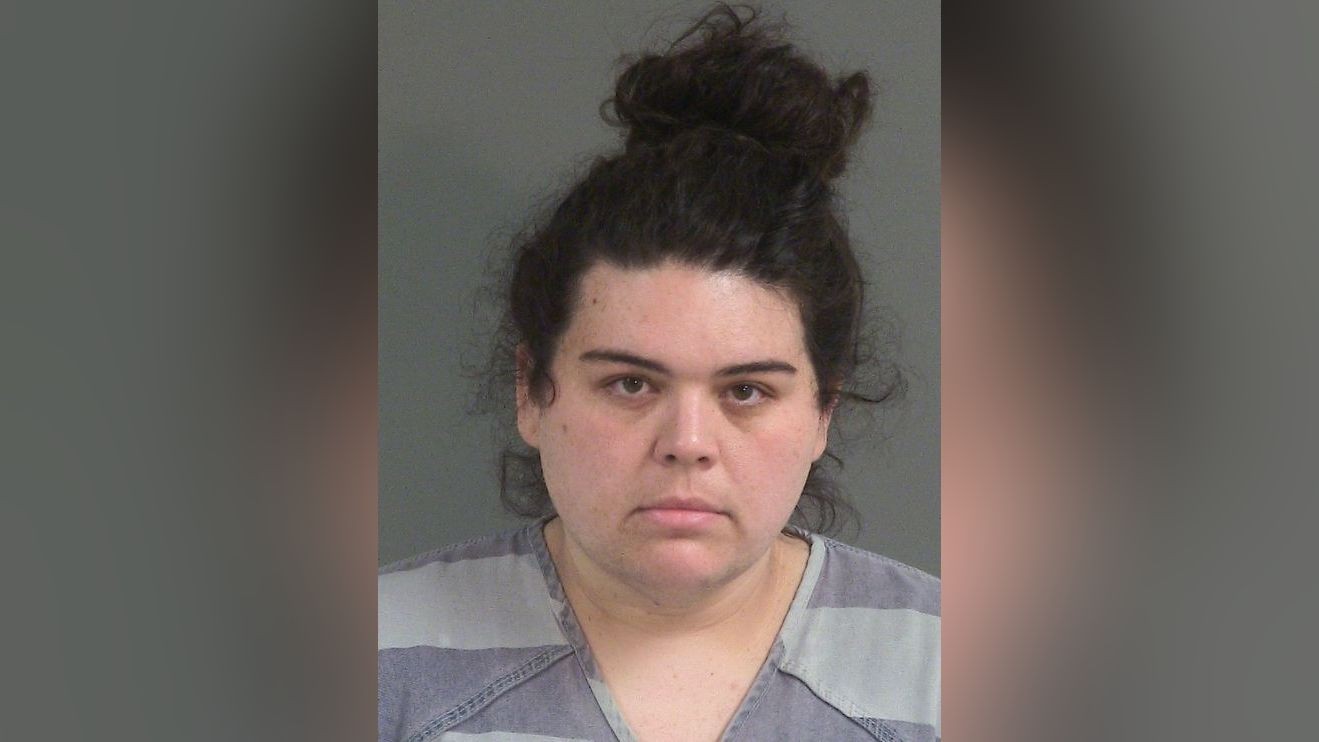 Homeowner in Ladson charged with two counts of homicide by child abuse: court records