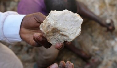 Nigerian police probe death in custody of 37 illegal mining suspects | Human Rights News