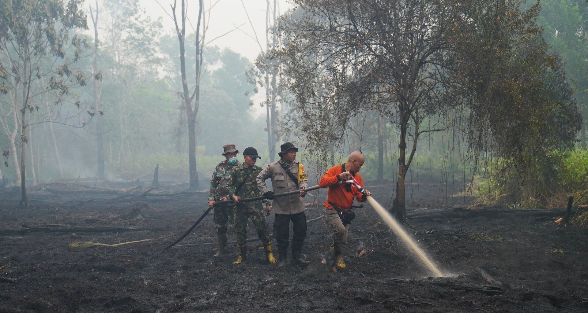Scientists warn super El Nino could cause 450,000 deaths: Should we worry? | Weather