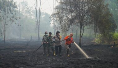Scientists warn super El Nino could cause 450,000 deaths: Should we worry? | Weather