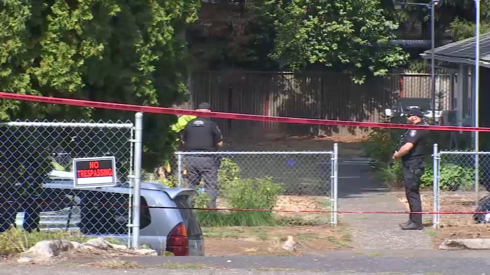 A child is dead after being hit by a car in Gresham along Burnside Street on Thursday morning,...