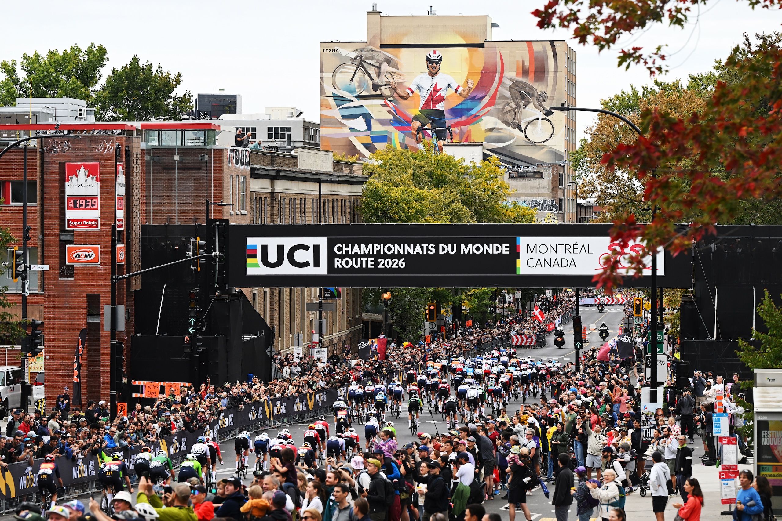 MONTREAL, QUEBEC - SEPTEMBER 27: A general view of the peloton competing during the 99th UCI Road World Championships Montreal 2026 - Men Elite Road Race a 273.4km one day race from Brossard to Montreal on September 27, 2026 in Montreal, Quebec.
