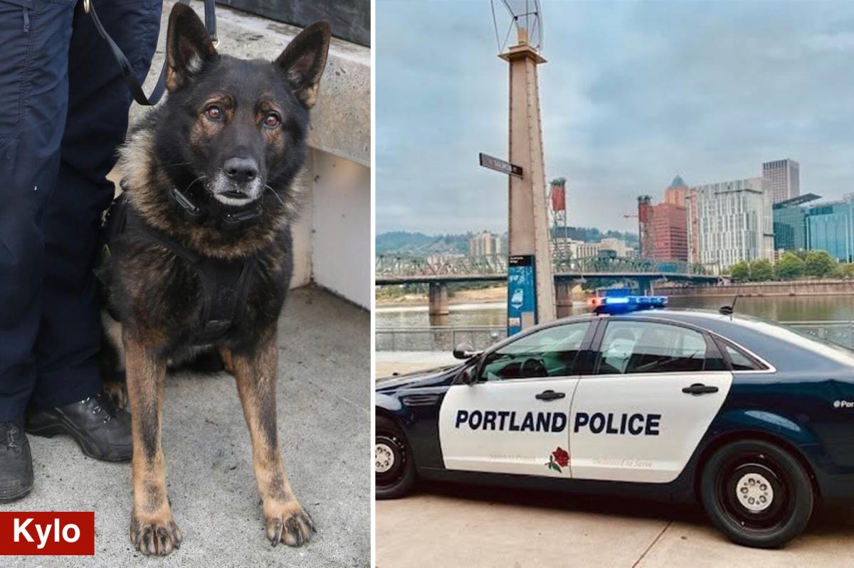 Portland police K9 shot and killed on final shift before retirement
