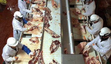 CargillMeatPlantLine_crop.jpg
