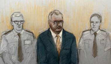 Jeffrey Donaldson facing ‘lengthy sentence’ for child sex offences, court told – The Irish Times
