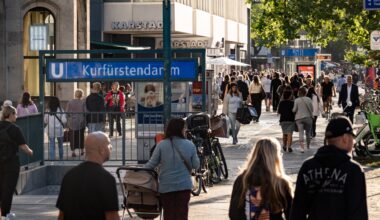 ‘Hope’ rises in Berlin immigrant communities as Left wins amid AfD gains | Elections News