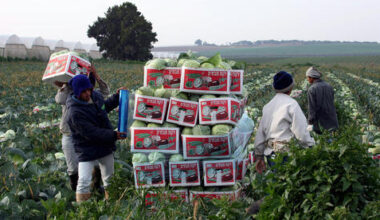“Buyers don’t want to deal with goods from Israel”: Israeli exporters fear Europe-wid