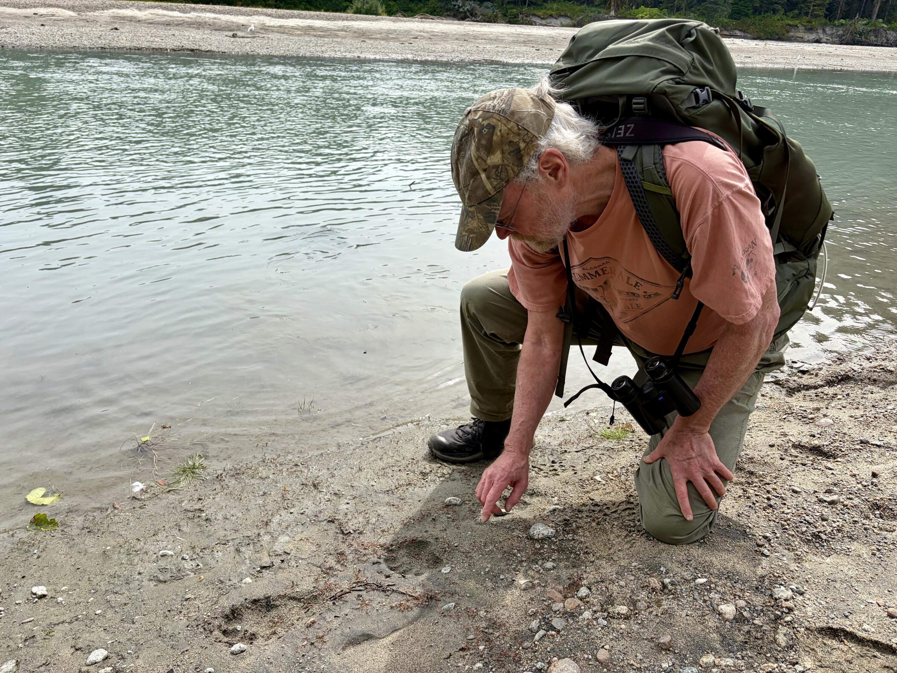 Richard Carestensen, a Juneau naturalist, inspects a bear print in the mud along the Eagle River. (Peter O'Dowd/Here & Now)