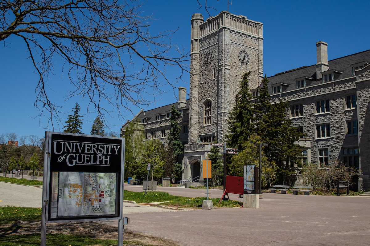 University of Guelph pledges action after out-of-control homecoming parties