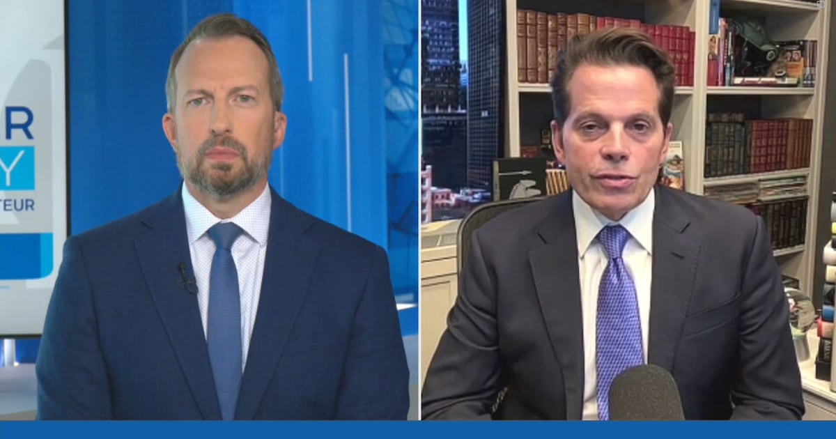 ‘It should be zero ... but it’s not,’ says Scaramucci on U.S. military threat - CTV News