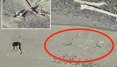 Tourists stranded on Oregon beach after trying to snap 'dramatic' photo