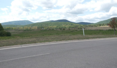 Roanoke citizens question potential data center plans in potential land development