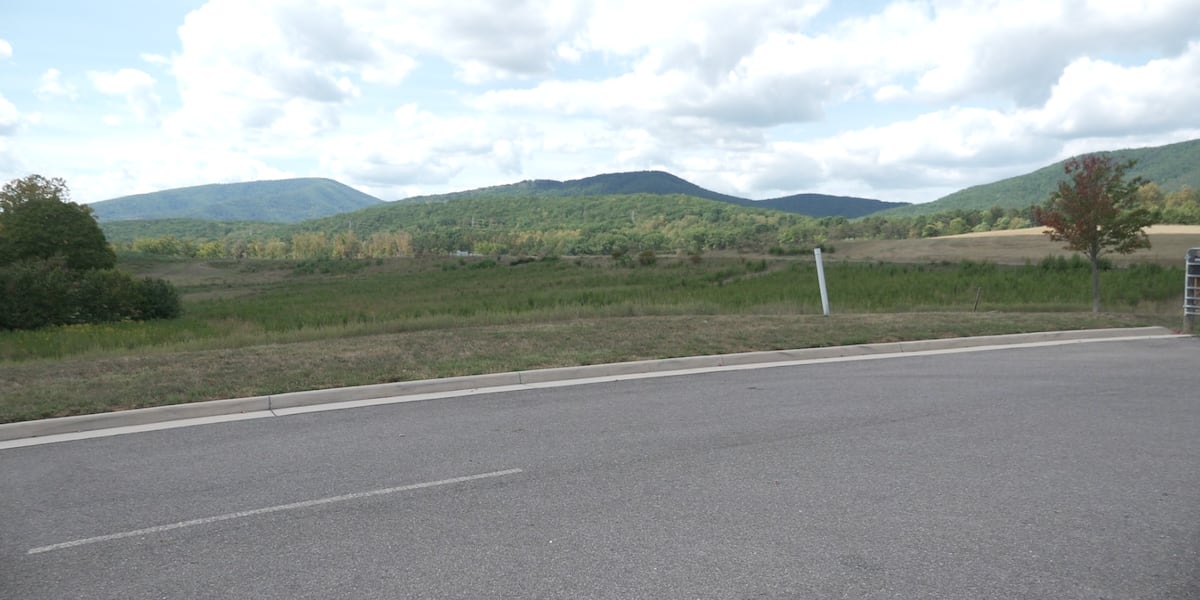 Roanoke citizens question potential data center plans in potential land development