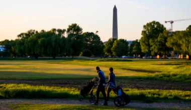 Social Media Posts Push False Claim of Trump Chopping Down 60 Cherry Trees