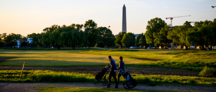 Social Media Posts Push False Claim of Trump Chopping Down 60 Cherry Trees