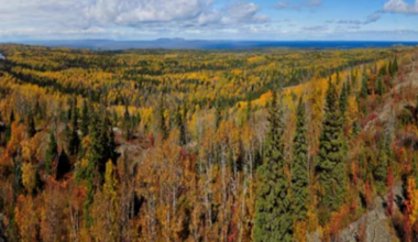 Missing 70-year-old hiker found alive and alert on Isle Royale Saturday