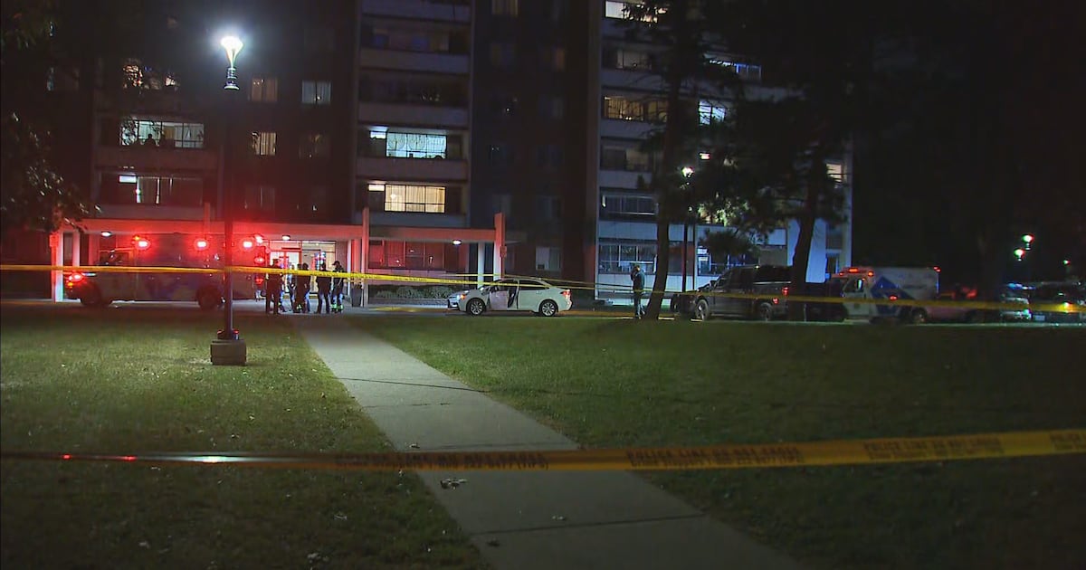 North York stabbing leaves man dead