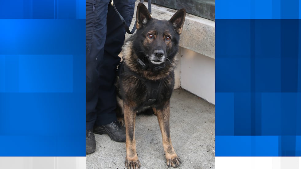 PPB police dog “Kylo" was killed during an attempted arrest of a wanted suspect in southeast...